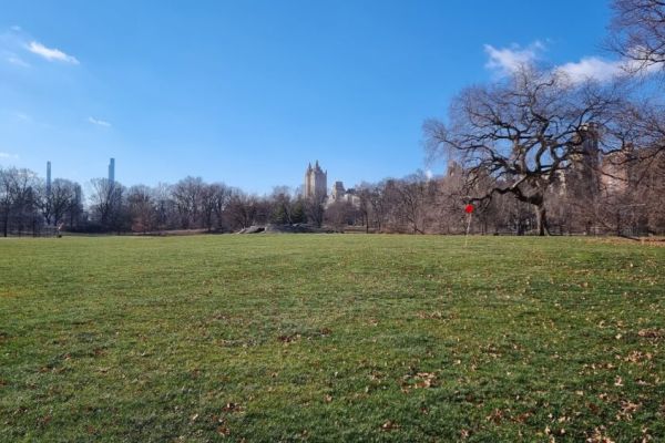 North Meadow